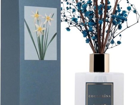 81w7ej+WBlL._AC_SX679_